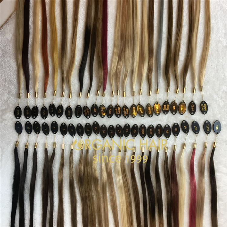 Double drawn human virgin hair handtied weft custom colors C114